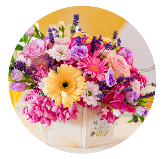 Birthday Flowers Crouch End